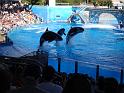 Sea World-131